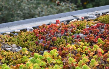 the cost of Nether Skyborry green roof installation