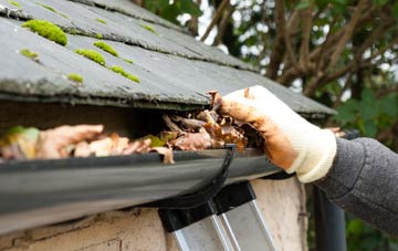 gutter cleaning Nether Skyborry, Shropshire