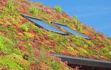 Nether Skyborry living roof systems