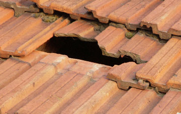 roof repair Nether Skyborry, Shropshire